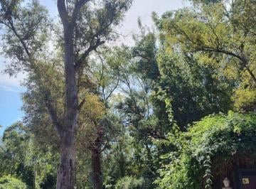 Terreno · 1176m² · Venta Lote Barrio El Cazador Escobar