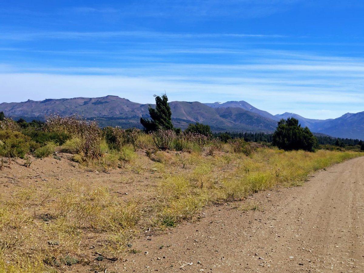Paseo de los Coirones S/N, Centro, San Carlos de Bariloche