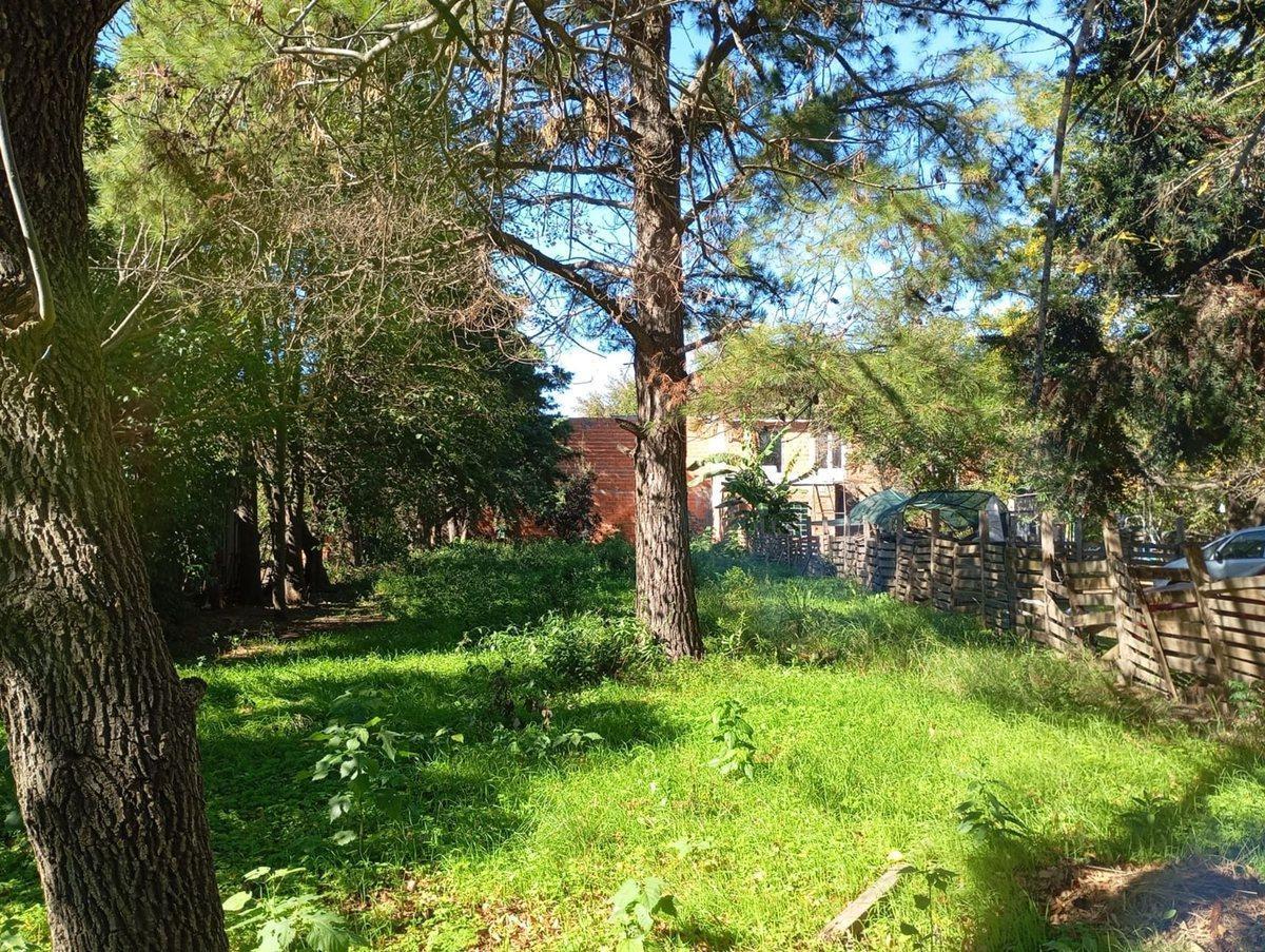 Echeverria 0,  Ibarlucea, Santa Fe