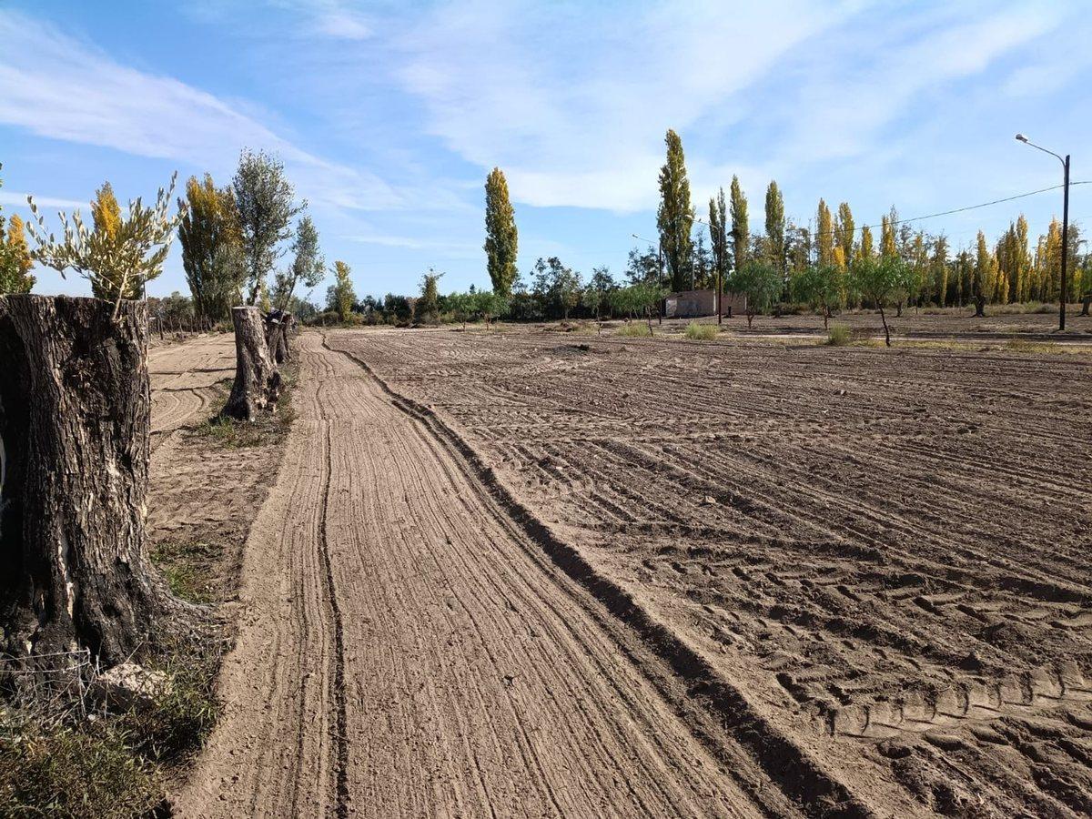 La Posta S/N, La Colonia, Mendoza