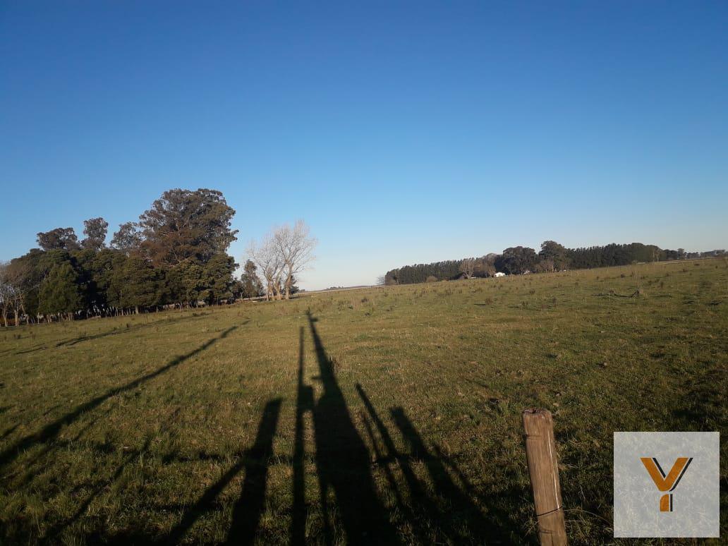 Ruta Provincial 29, KM 28,5, Alegre, Buenos Aires (fuera de GBA)