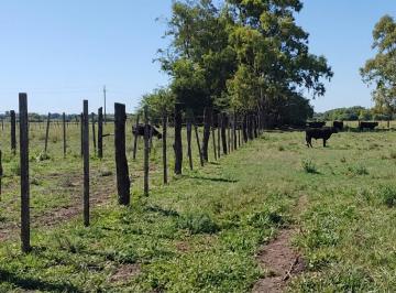 Campo · 1000000m² · 3 Dormitorios · Campo en Concepcion del Uruguay