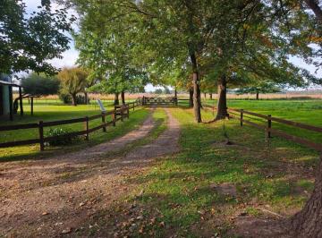 Campo , San Andrés de Giles · Campo Agricola - 30 Ha Ubicación Privilegiada Sobre Ruta 41