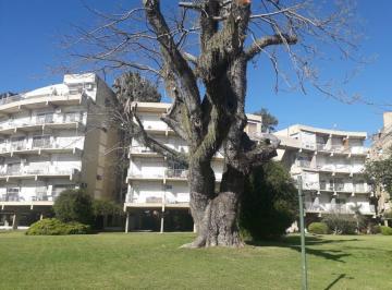Departamento · 28m² · 1 Ambiente · Departamento en Tigre. Coloraddo Conchas 97 Piso 3