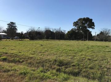 Terreno · 1300m² · Lotes Terrenos Villa Elisa en Venta