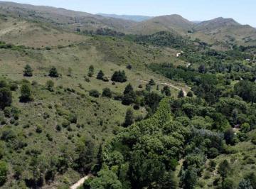 Campo · 245ha · Venta Campo 18has Arroyo Cno Candonga Agua de Oro
