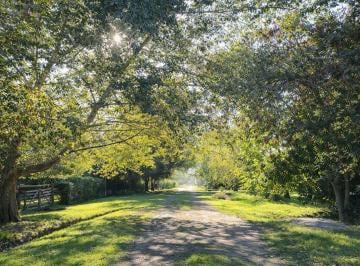 Terreno · 1000m² · Lote en Venta en Barrio El Rodeo