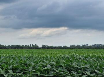 Terreno · 160000m² · Venta 16 Ha Agricolas Colonia Caroya Cba