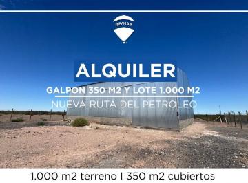 Bodega-Galpón · 350m² · Alquiler Galpon Nueva Ruta del Petroleo Neuquen