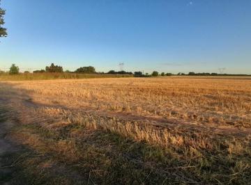 Campo · 9ha · Campo 9 Ha en Ramallo