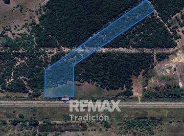 Terreno · 39596m² · Terreno en Venta Sobre Rn Nº11 Km 1012 – 4 Ha