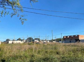Terreno · 1336m² · 4 Lotes en Venta, San Carlos con Servicios