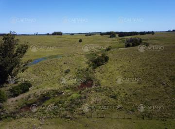 Foto1 · Venta Chacra Jose Ignacio con Costa Arroyo Anastasio