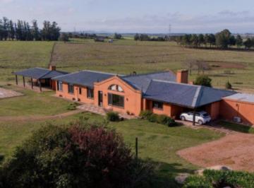 Campo · 900ha · 7 Ambientes · 5 Cocheras · Venta de Campo