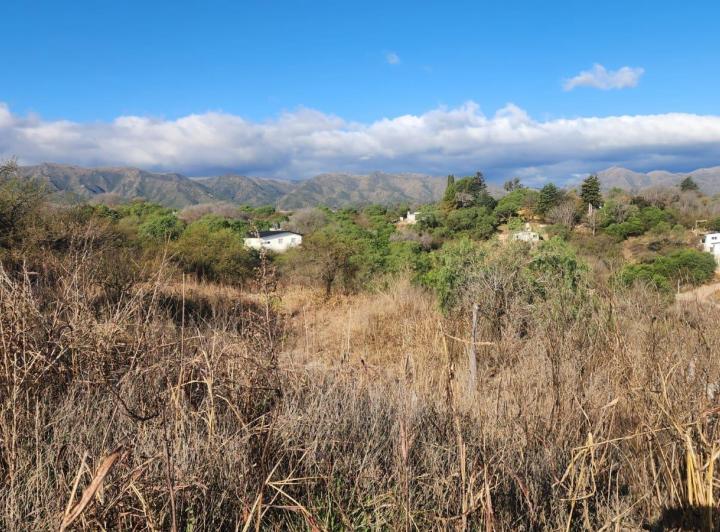 Terreno · 716m² · 1 Ambiente