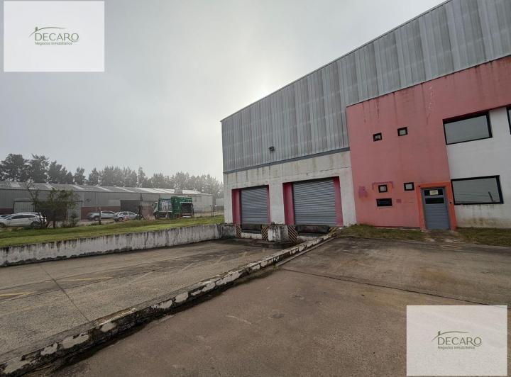 Bodega-Galpón · 5000m² · 5 Ambientes