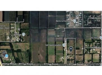 Campo · 40000m² · Chacra en Venta - Apto Desarrollo