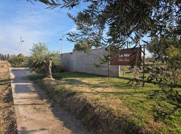 Terreno , Vistalba · Capital Prop Vende Lote 500 m² Barrio Las Moras Vistalba, Lujan de Cuyo