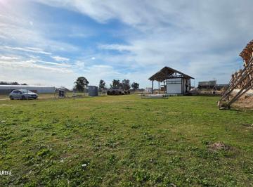 Terreno , San Vicente · Terreno Avda. Rivadavia (El Pampero)
