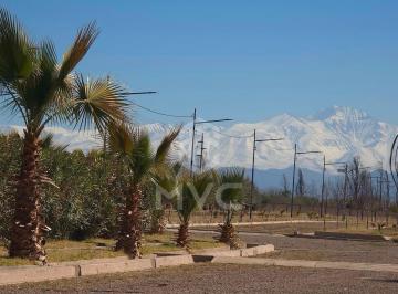 Barrio Privado Sustentable · Venta Lotes Barrio Cerrado, Sustentabilidad Real con Vista a La Montaña, Maipú, Mendoza.