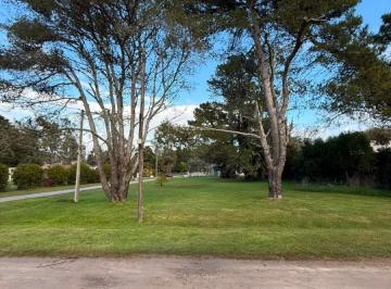 Terreno , Mar Chiquita · Lote en Venta - La Armonia - Mar Chiquita