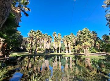 Campo , Perdriel · Oasis Productivo en Lunlunta, Perdriel, Luján de Cuyo