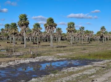 Campo · 46000000ha · Campo Ganadero y Arrocero en Zona Centro de Corrientes