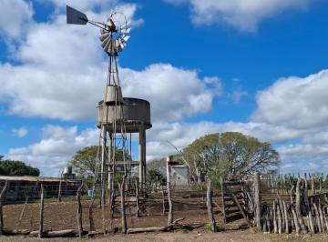 Campo · 46000000ha · Campo Ganadero y Arrocero en Zona Centro de Corrientes