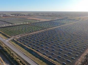 Terreno de 1 ambiente, Luis Beltrán · Venta Chacra Productiva 53,5 Has en Luis Beltrán, Rp 7
