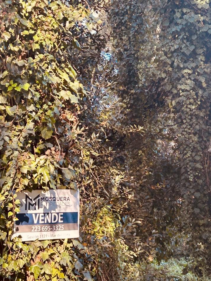 Lote 450m² en Bosque Peralta Ramos, orientación sol, financiación disponible