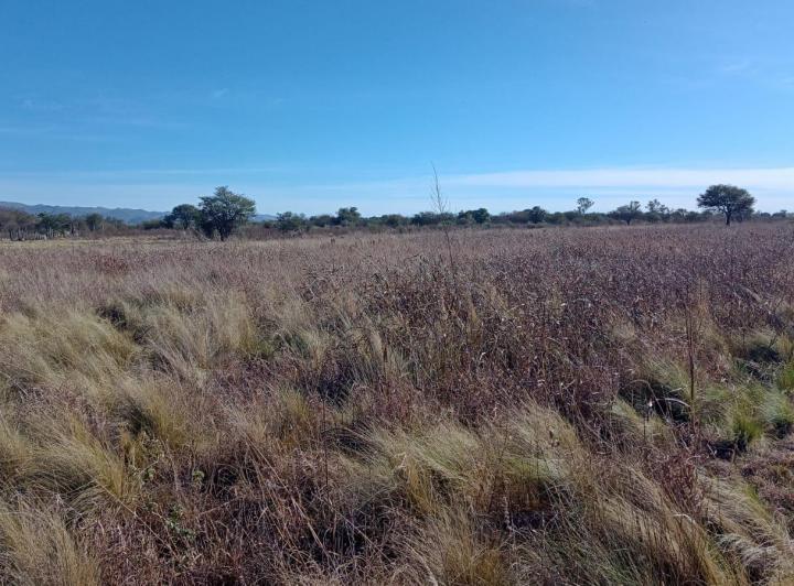 Terreno · 624m²
