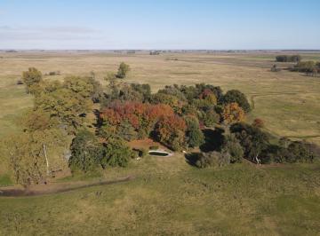 Campo · 1100000ha · Campo en Venta de 110 Has en Mercedes