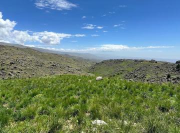 WhatsApp Image 2026-06-16 at 11.42.59 AM.jpeg · Campo de 169 Hectáreas en El Durazno – Valle de Calamuchita
