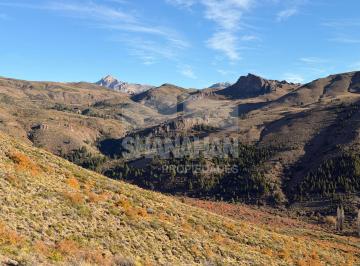 Campo · 33790000ha · Campo en Bariloche Río Negro Argentina