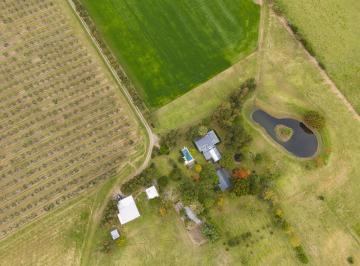 Campo · 170ha · 2 Ambientes · Campo en Venta en Artilleros, Colonia, con Olivos, Tajamar, Piscina, Dos Casas y Más
