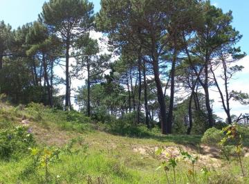 Foto1 · Venta 1001 m² en Rincón del Indio - Punta del Este