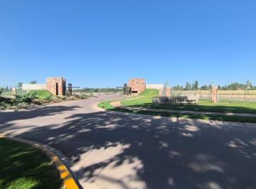 Terreno · 606m² · Lote en Venta Cetral 606 m², Barrio Qvattro Viamonte, Luján de Cuyo