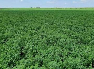 Campo · 3650000m² · Campo Mixto (Con Explotación Ganadera)