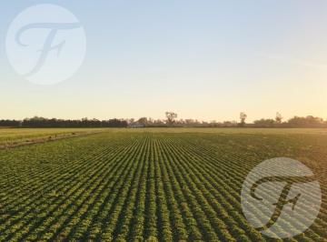Campo · 550727ha · Vendo Campo en San Pedro - Ruta 1001 - 55 Hectáreas - Oportunidad de Inversión y Subdivisión