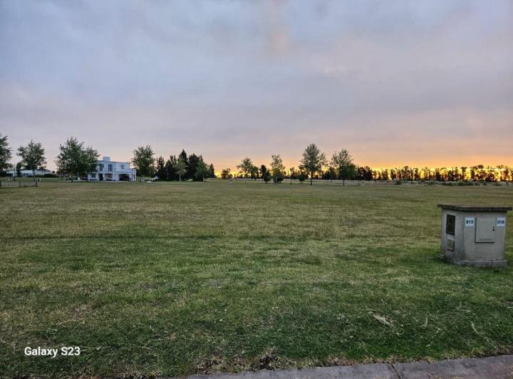 Terreno · 1600m²