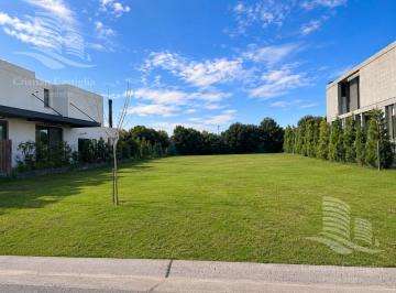 Terreno · 502m² · Lote en Barrio Carpinchos - Nordelta