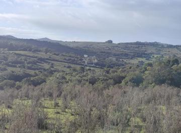 Foto1 · Campo Ondulado con Arroyo, Cañada, Manantiales y Montes Nativo en Paraje - Pueblo Eden
