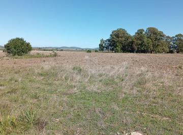 Foto1 · Campo 185 Has - Paraje Paso de Dutra