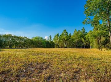 Terreno · 1989m² · Exclusivo Lote Al Río Carcarañá con Bosque de Pinos – Barrio Cerrado Casas de Campo