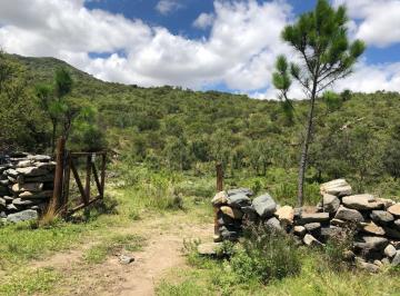 Campo · 520000m² · Chacras de Ambul - Campo de 52ha
