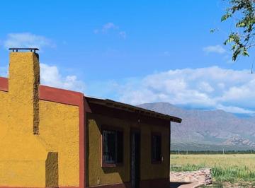 Campo · 70ha · Finca y Casa en Venta en El Cepillo Valle de Uco