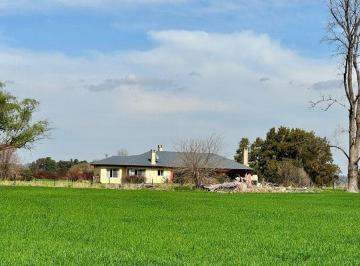 Campo · 391ha · Campo/ Chacra 19has Torres Lujan C Renta