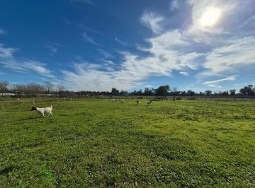 Terreno · 980m² · Venta Lote Pilar 980 m²