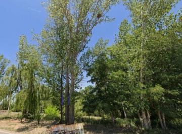 Terreno · 10000m² · Lote Carrizal Sobre Ruta 16