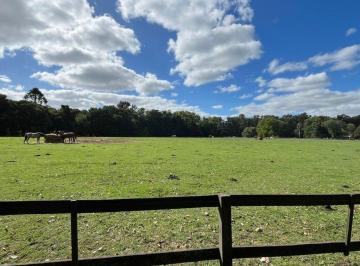 Campo · 1ha · Campo en Venta, Monte Benquerencia, Uso Comercial.